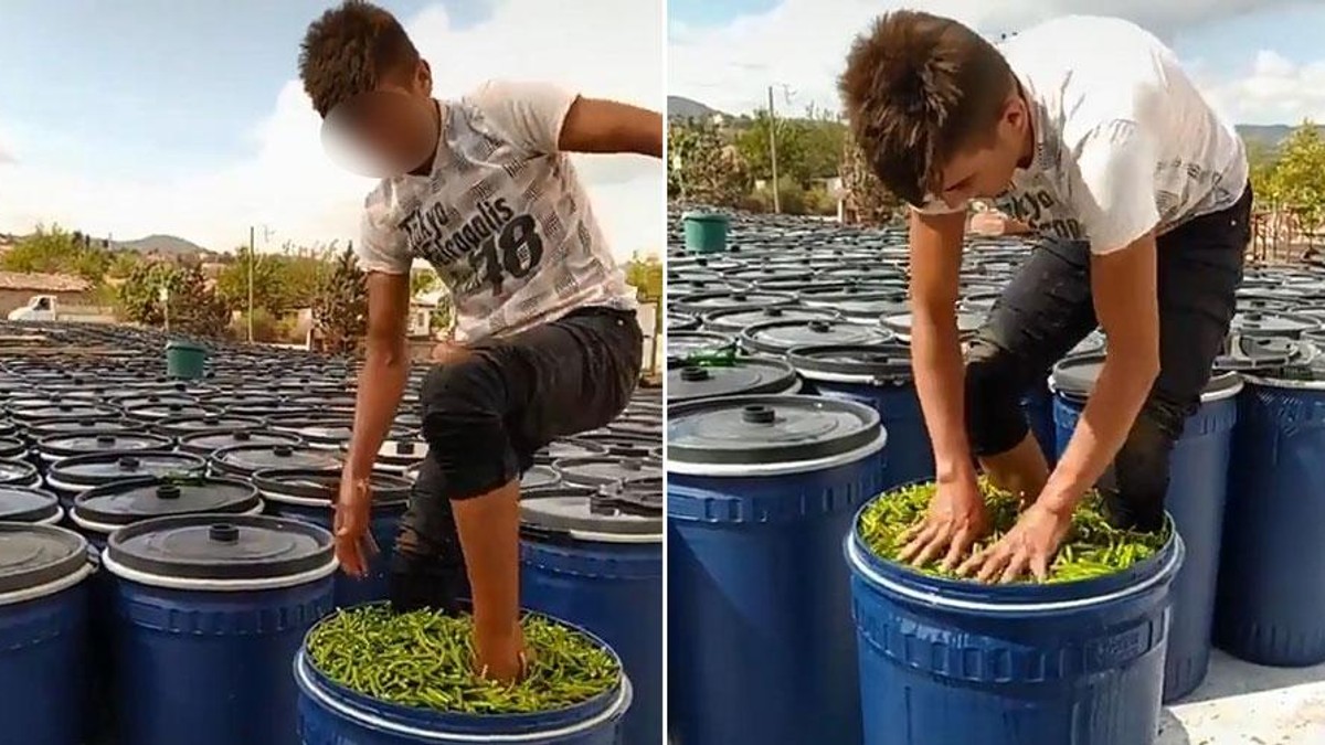 tursuluk biberleri ciplak ayakla ezdi