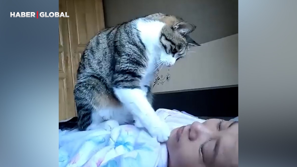 Sahibini uyandırmak isteyen kedi güldürdü