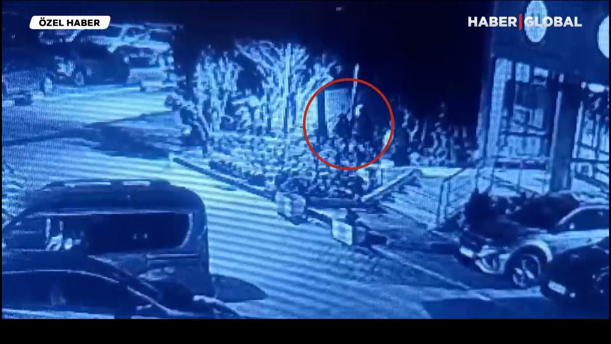 İstanbul'da kediye tekmeli saldırı