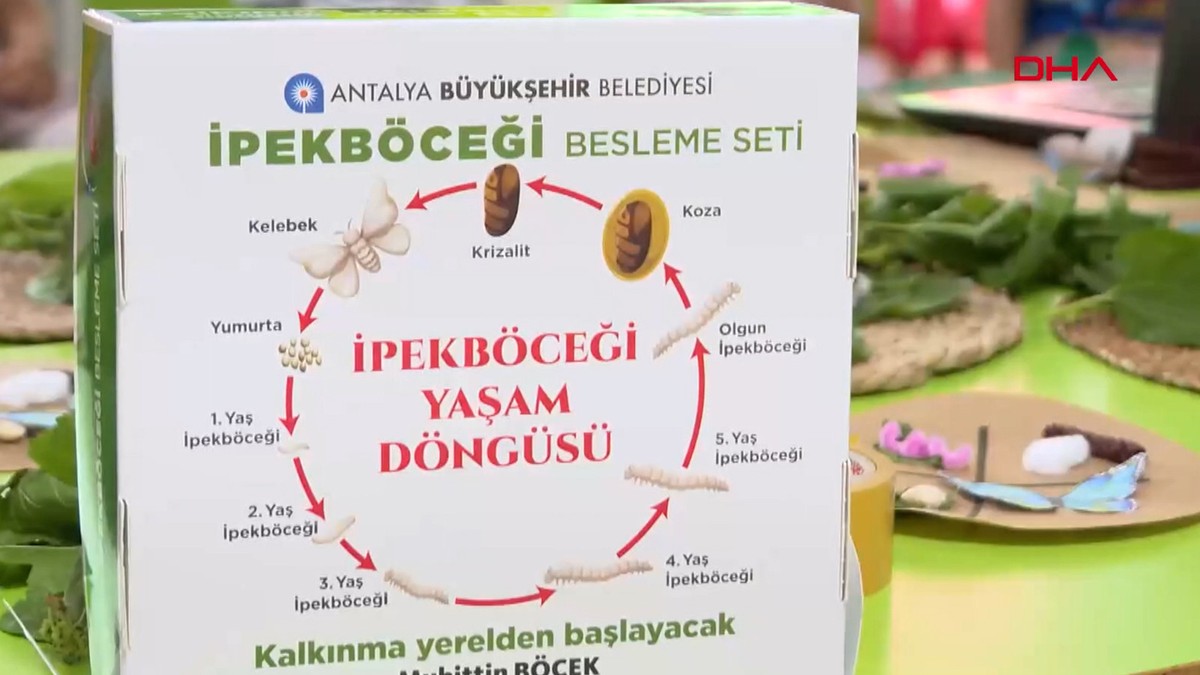 Büyükşehir çocukları ipekböceği ile tanıştırıyor