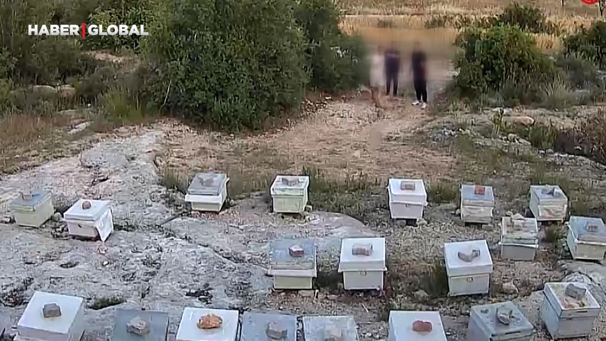 5 kişi arılara taşlarla saldırdı o anlar kamerada