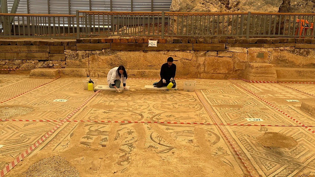 "Cennet Bahçesi" mozaiğinde restorasyon ve konservasyon başladı