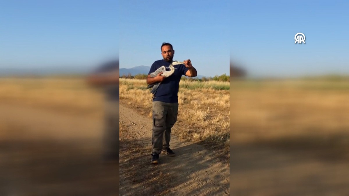 Tireli vatandaşla yaralı balıkçıl arasında Ege şivesiyle sohbet