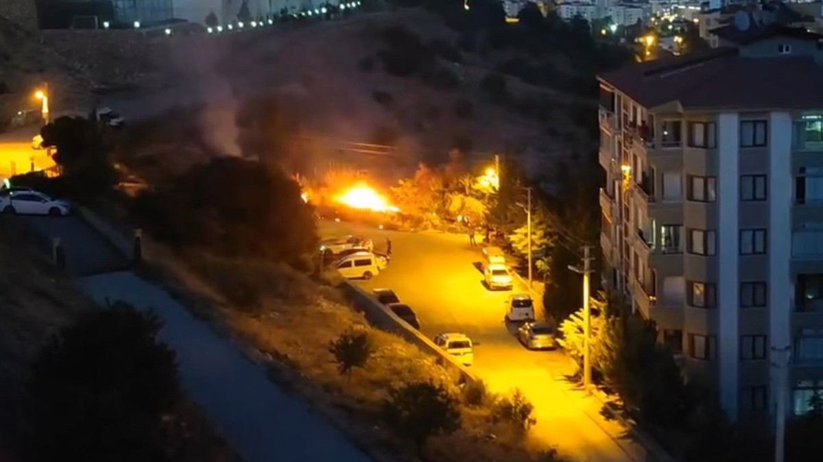 Elazığ’da ot yangını