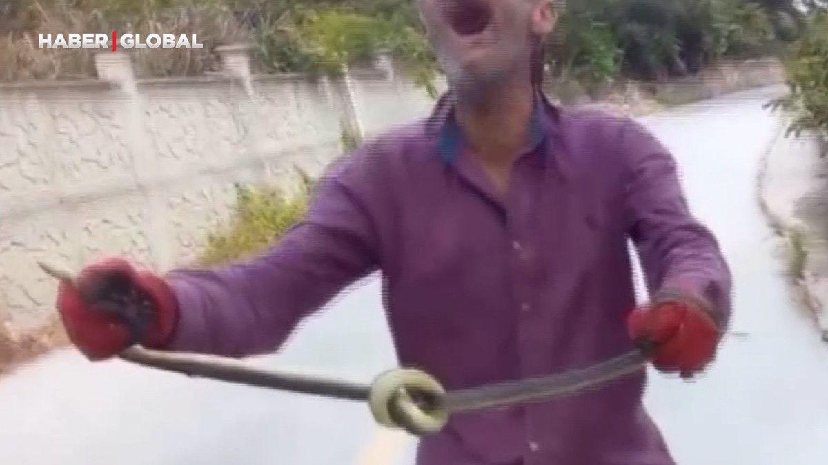 Yılanları elleriyle yakalayıp düğüm atan adam şoke etti