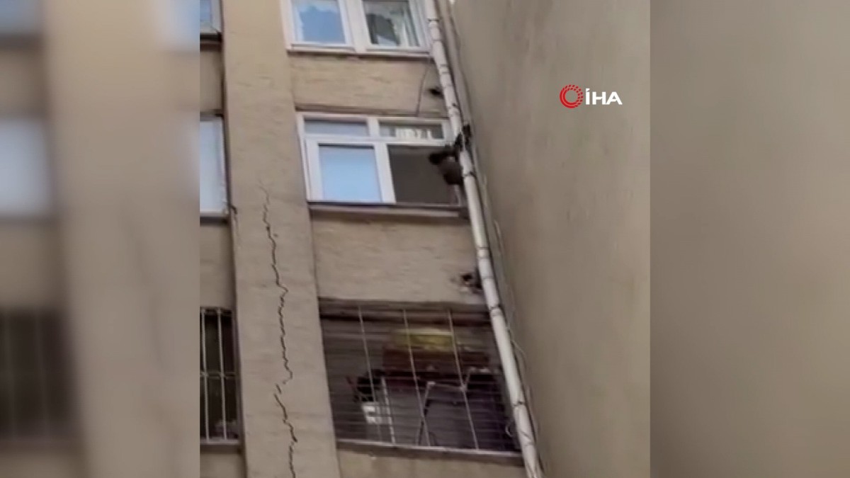 Firar eden maymundan binalar arası güvercin avı