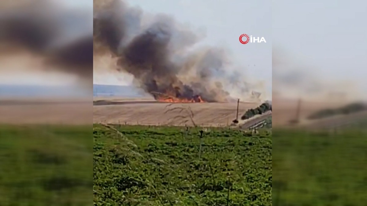 Diyarbakır'ın 3 mahallesinde buğday tarlası yangını