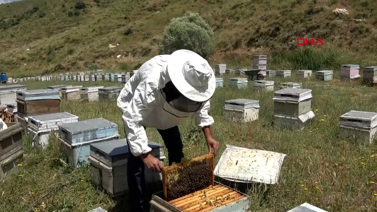 Kuraklık bal üretimini vurdu