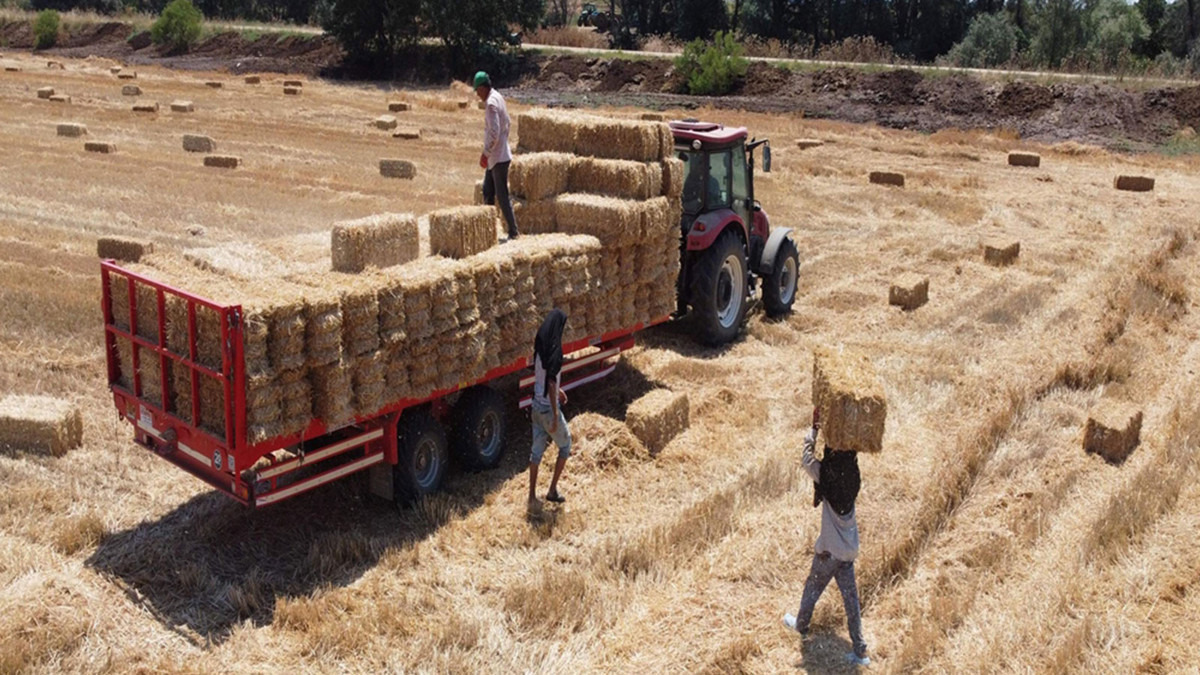 İşçiler kavurucu sıcakta ekmek parası kazanıyor