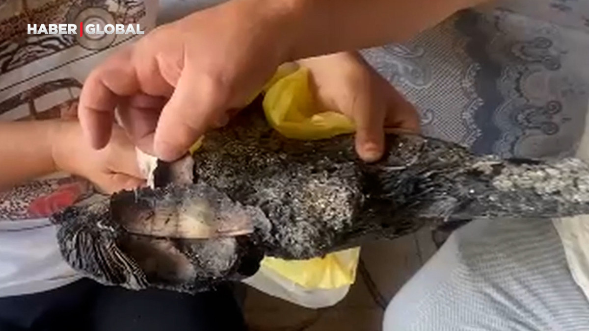 Antalya'daki yangında depoda sakladıkları 90 bin TL kül oldu