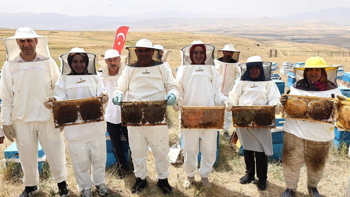 Ağrı'nın kadınları bal işine el attı