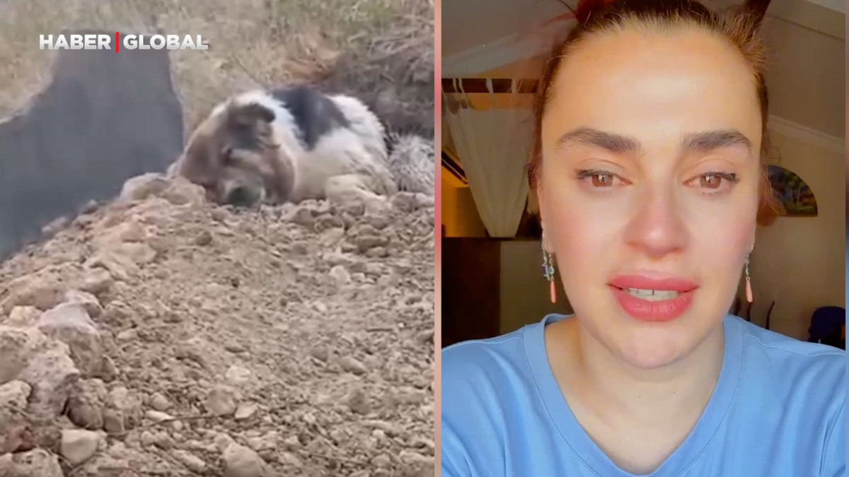 Ceylan Ertem, gündem olan köpeği sahiplendiği anları paylaştı