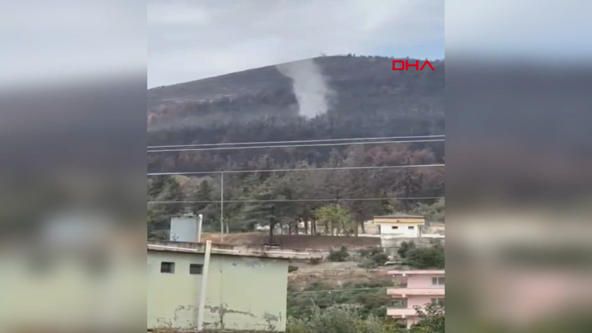 Hatay'da geçen ay yanan ormanda bu kez hortum