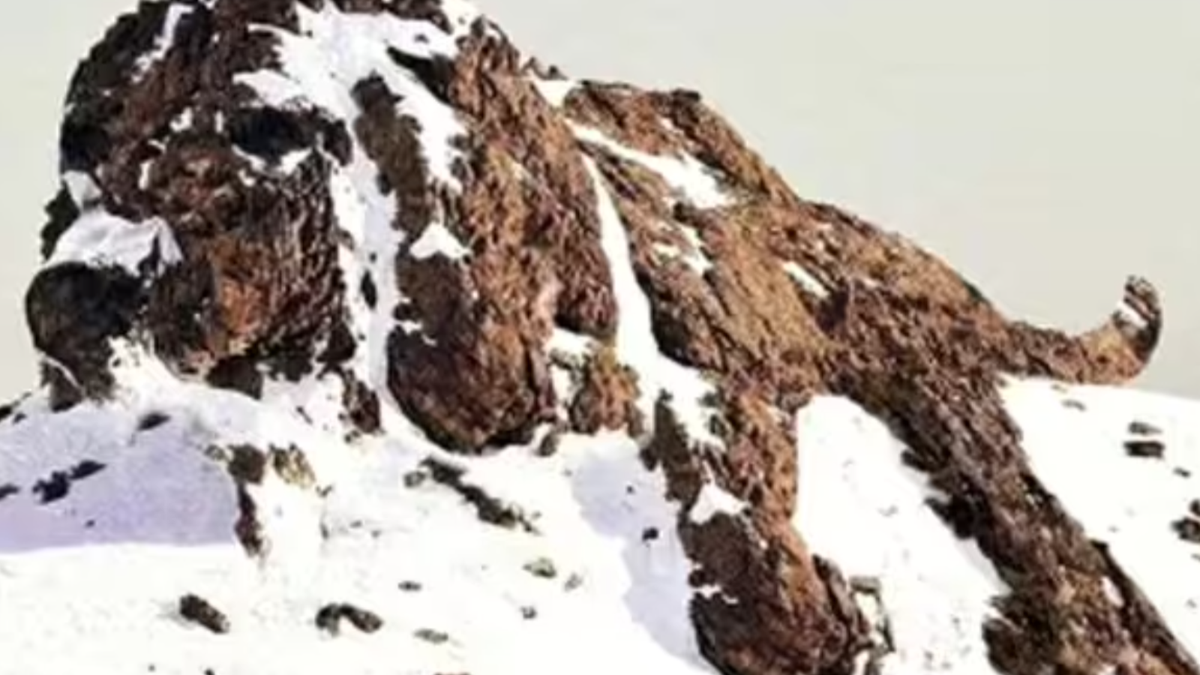 İyi bir eş olabilecek misin? Bu resimde ilk gördüğün şey ilişkideki karakterini açığa çıkarıyor