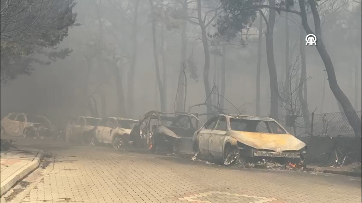 Çanakkale'de yangın yerleşim yerlerine sıçradı