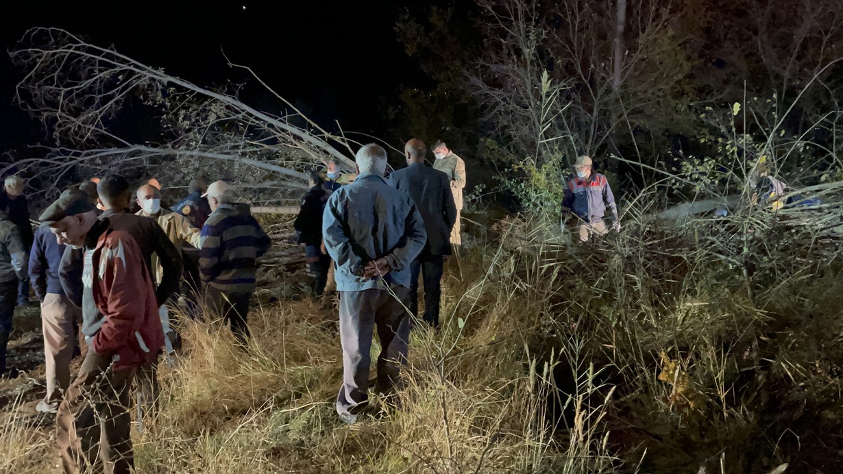 Erzincan'da kestiği ağacın altında kalarak hayatını kaybetti