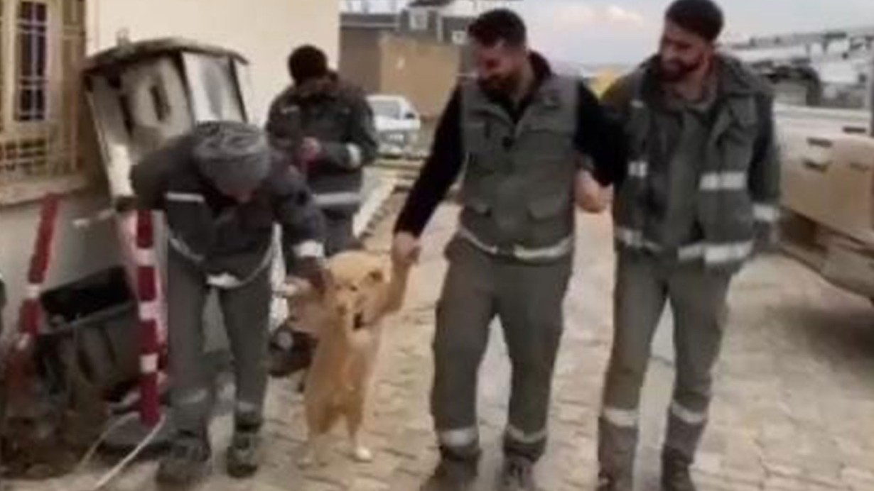 Diyarbakırlı işçiler, köpekle halay çekti