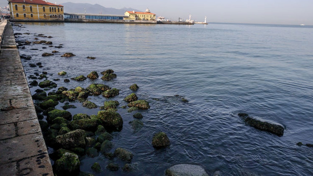 İzmir'de bir anne, 1 yaşındaki bebeğini denize attı