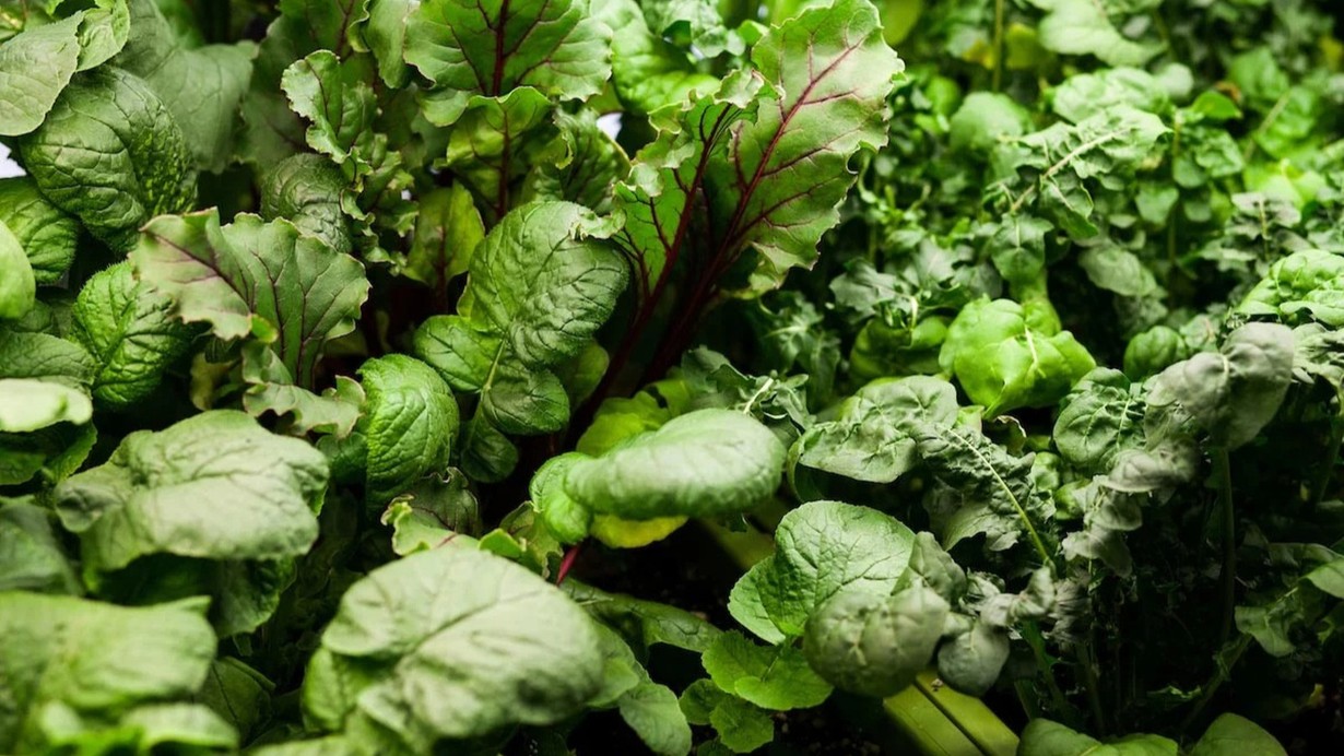Araştırma: K vitamini eksikliği bilişsel gerilemeye neden oluyor