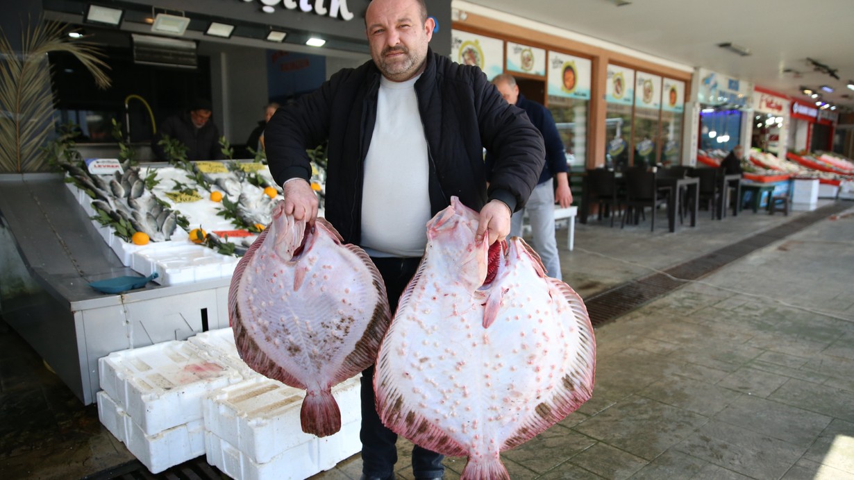 Ordu'da kalkan bereketi