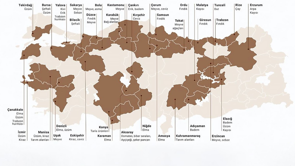 Türkiye'de bu yaz kıtlık olur mu?