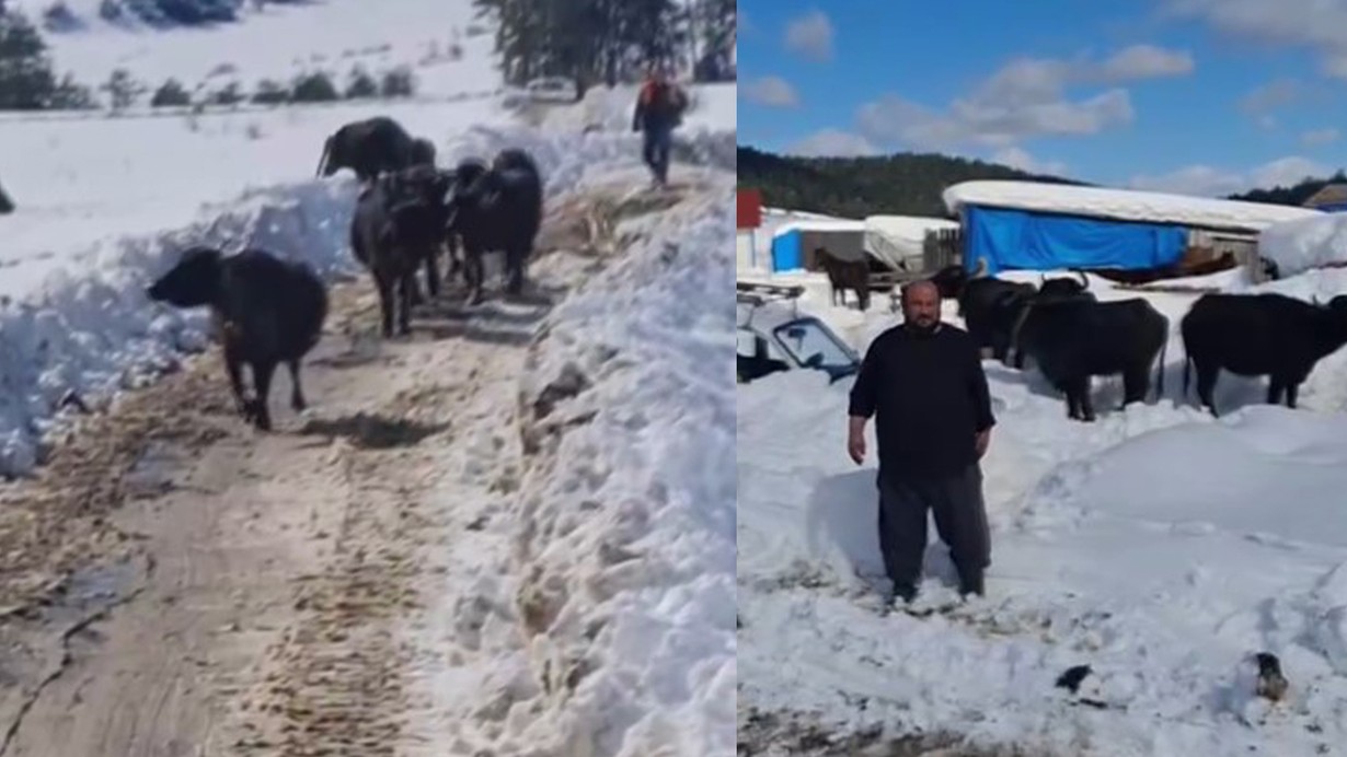 Hayvanları ile yaylada mahsur kaldı; 3 gün sonra kurtarıldı