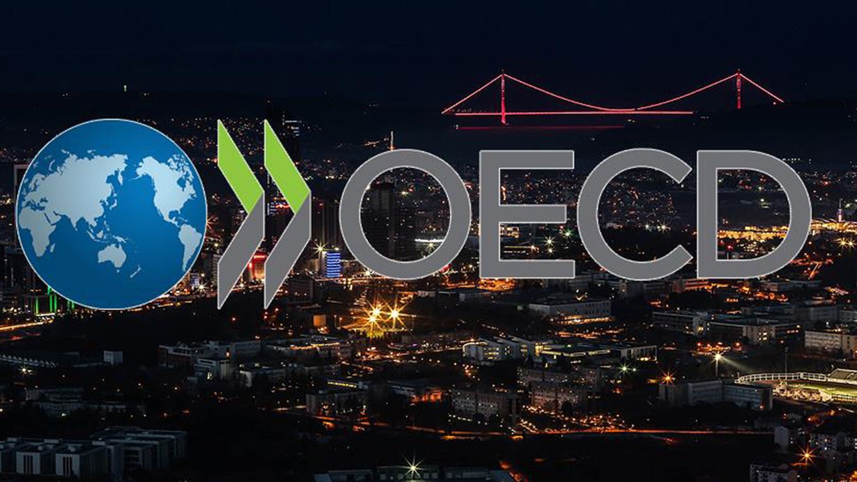 OECD Türkiye Ekonomisti Turban, Türkiye ekonomisini değerlendirdi