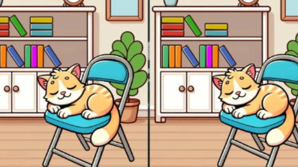 Sandalyede şekerleme yapan iki kedi arasındaki 3 farkı sadece yüksek IQ'su olanlar 12 saniyede buluyor