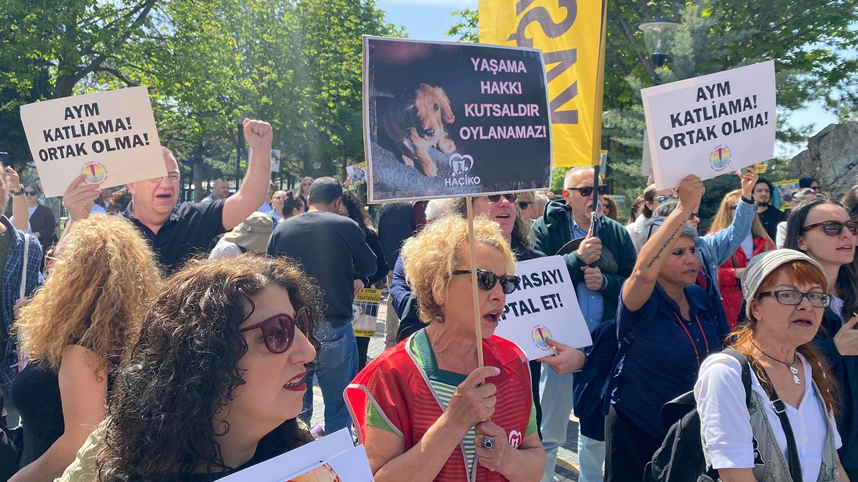 Hayvanseverler AYM önünde 'Hayvanları Koruma Kanunu' nöbetine başladı