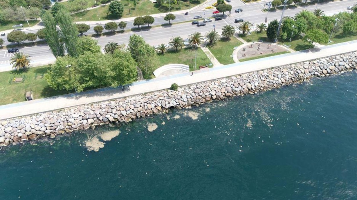 İstanbul'da müsilaj yeniden ortaya çıktı