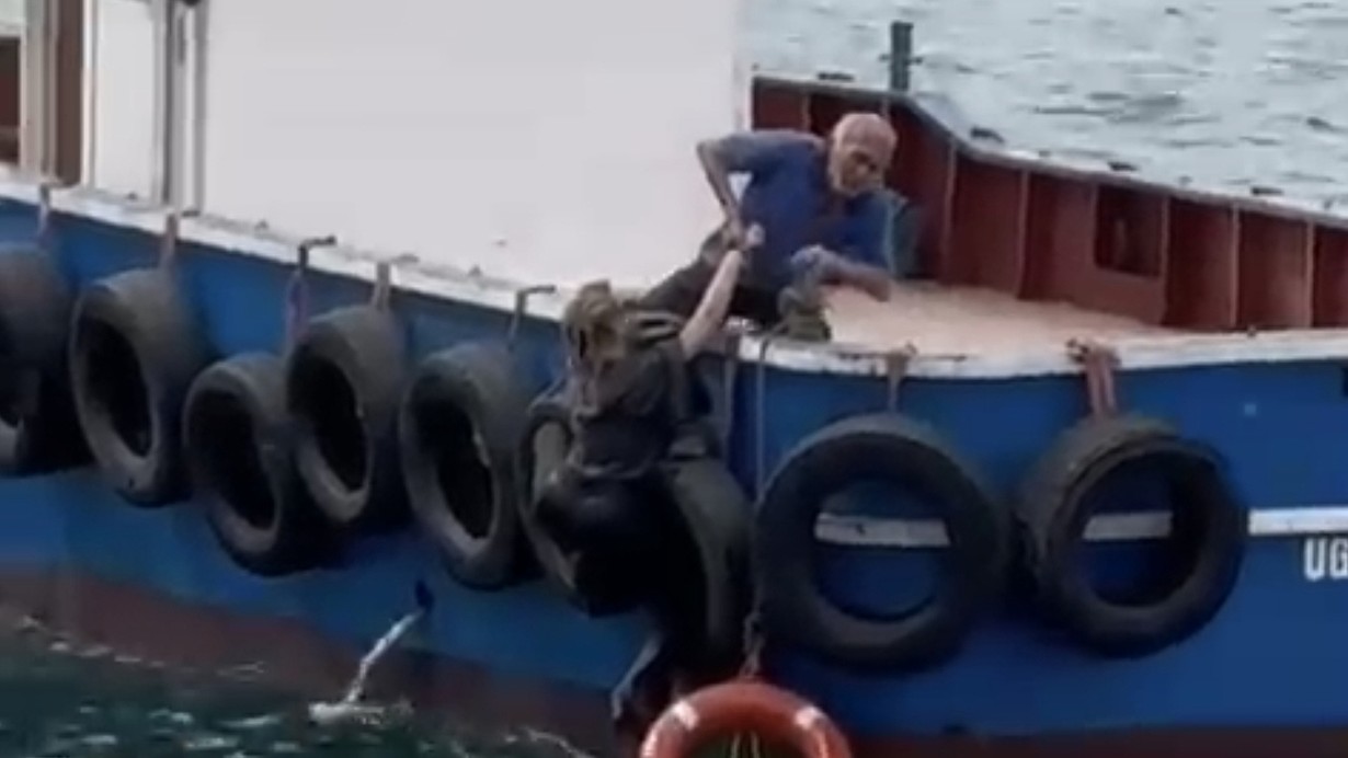 İstanbul Kartal'da vapurdan denize düşen kadını balıkçılar kurtardı