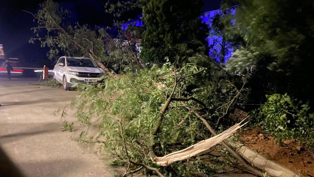 Artvin’de fırtına çatıları uçurdu, ağaçlar devrildi