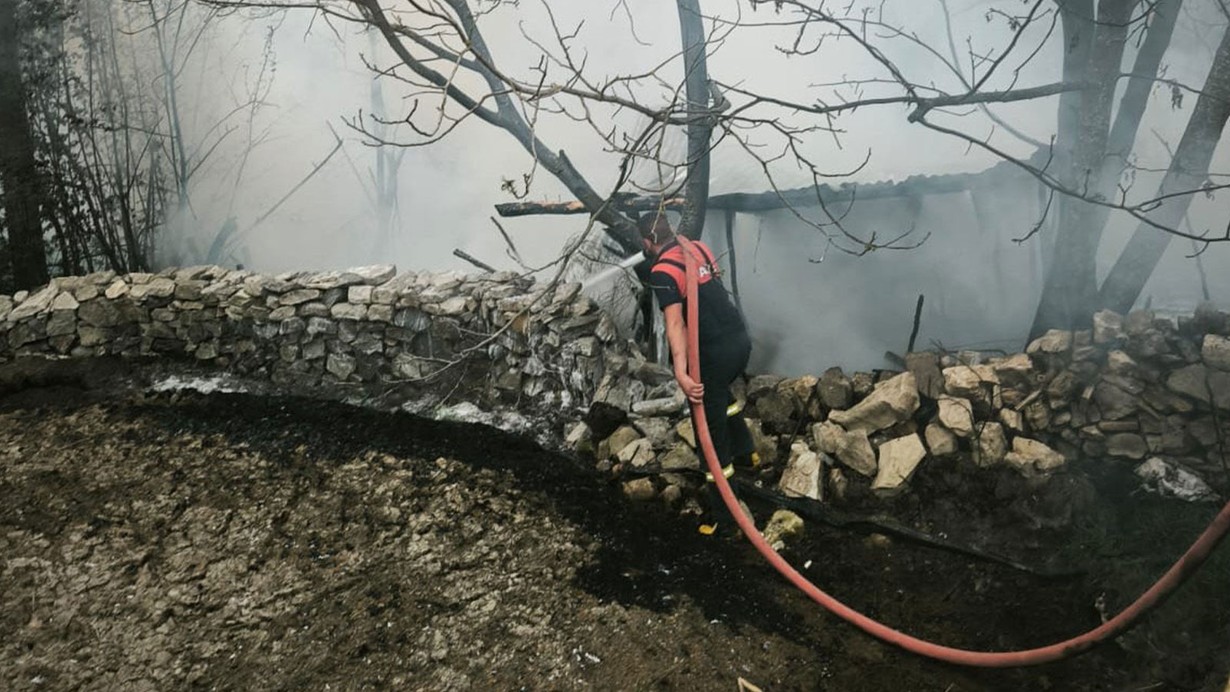 Kütahya'da 4 kümes yandı; 100 tavuk öldü