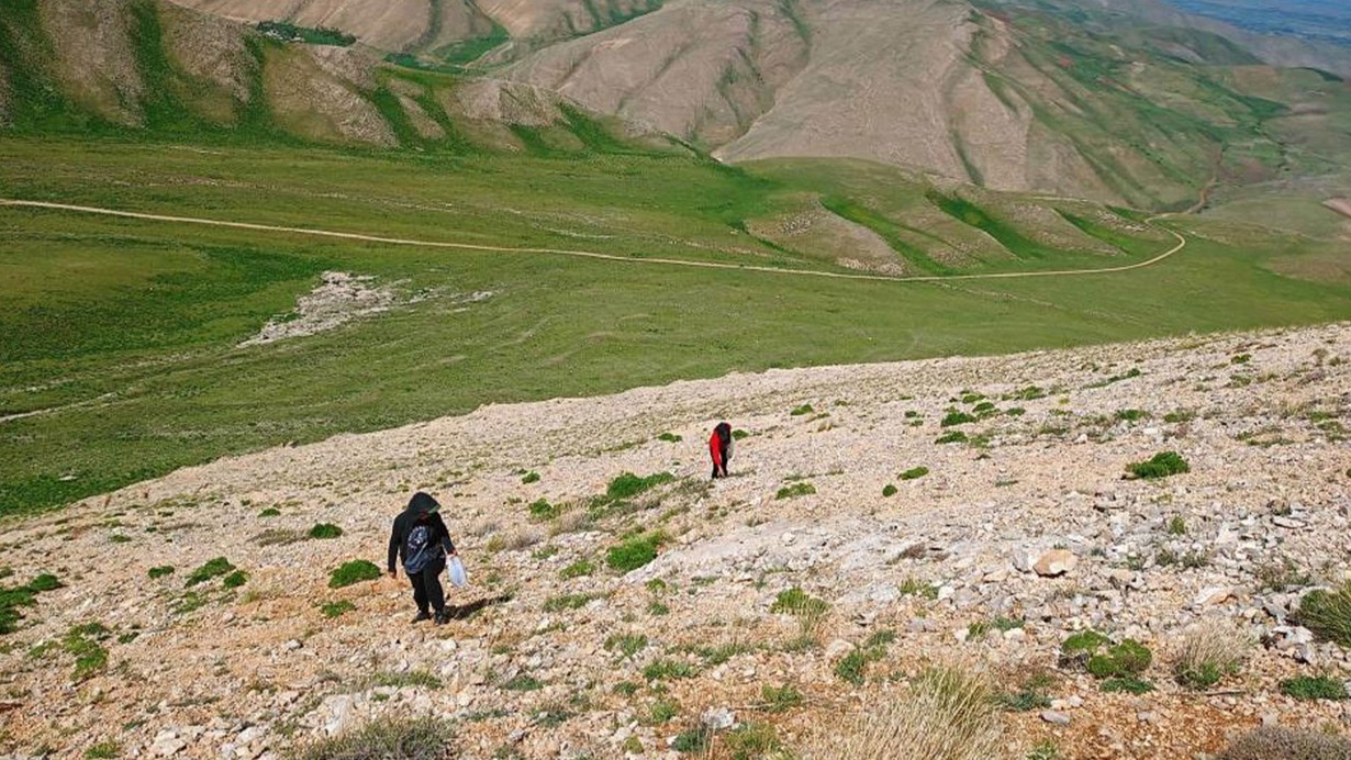 Uzmanlardan heliz otu ve mantar zehirlenmesi uyarısı