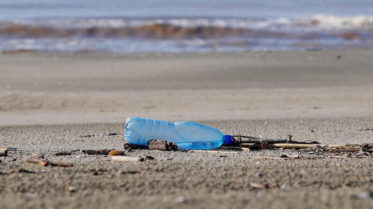 Canlı türleri yok oluyor, plastik atık sorunu büyüyor