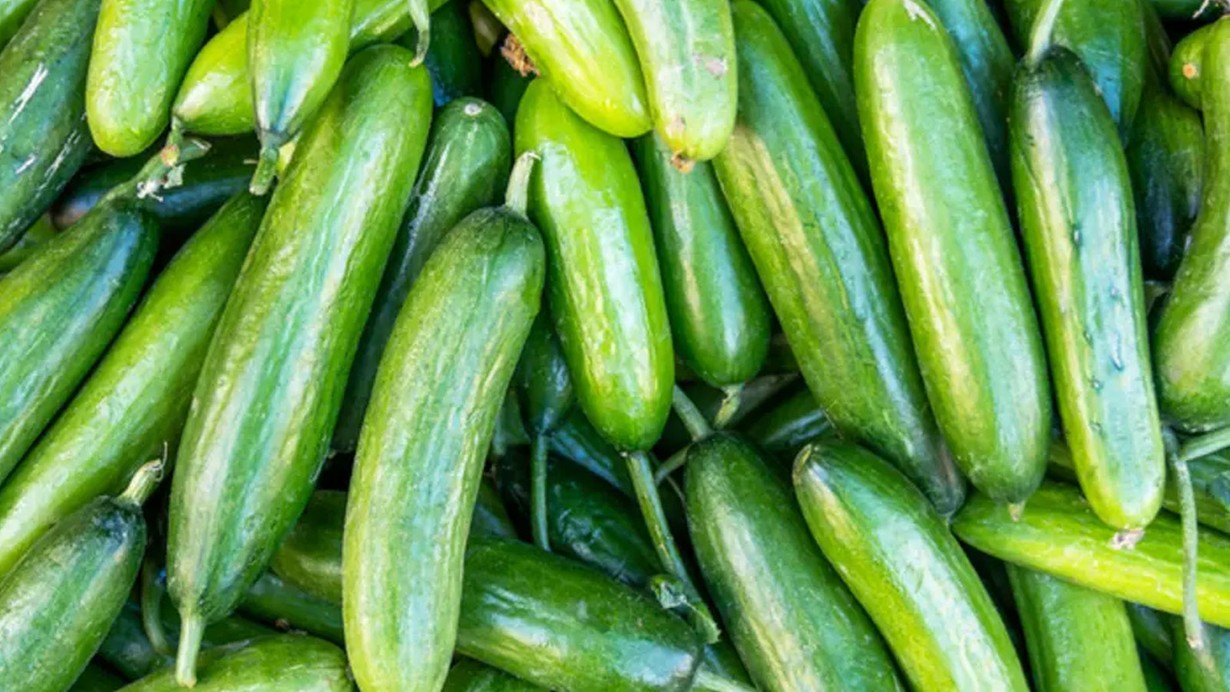 Raflardan toplatılıyor! Marketlerde satılan salatalık acilen geri çağırıldı!