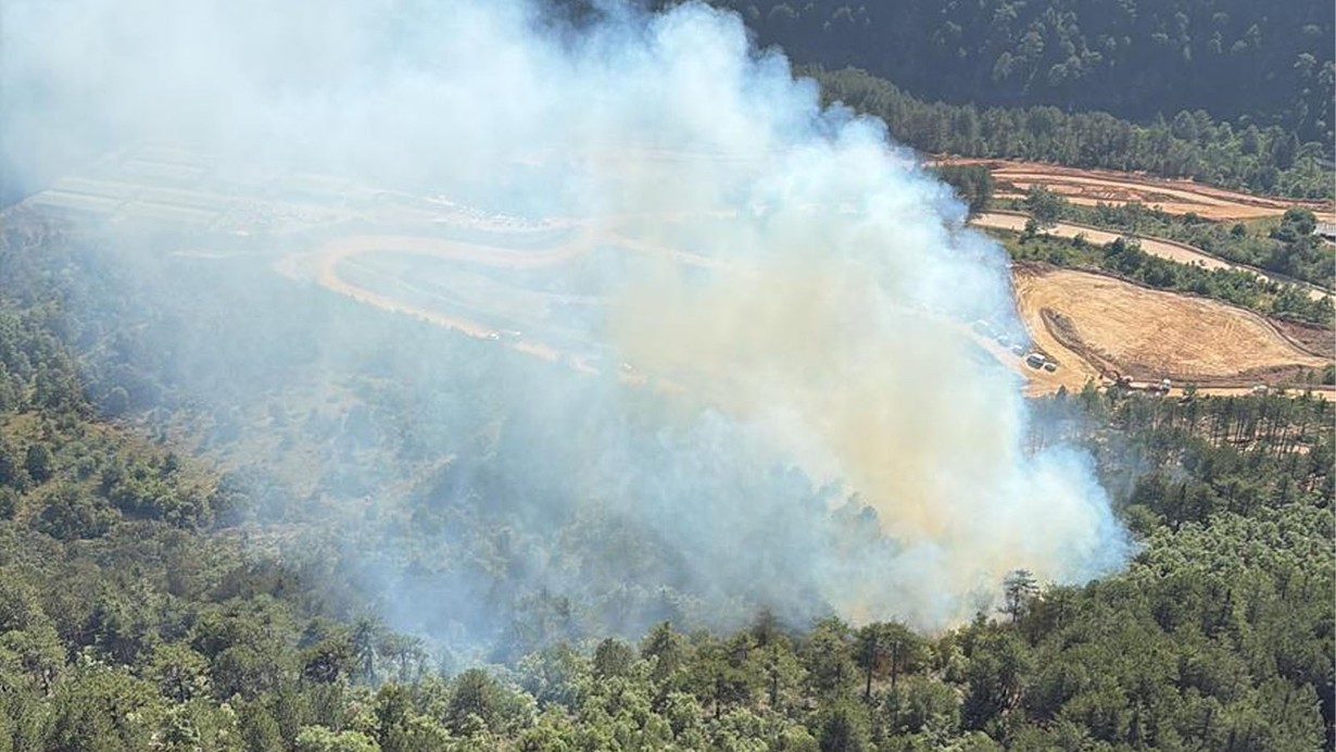 Balıkesir'de korkutan orman yangını