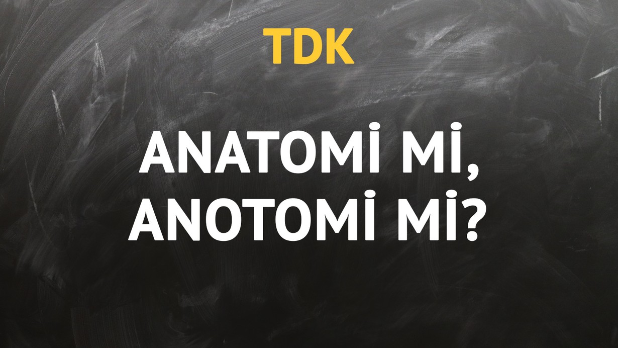 TDK'ya göre anatomi kelimesi nasıl yazılır?