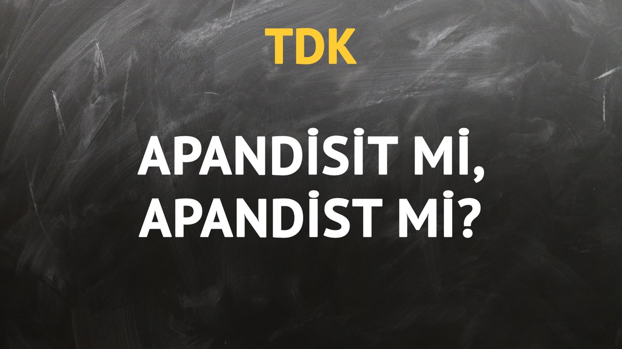TDK'ya göre apandisit kelimesi nasıl yazılır?