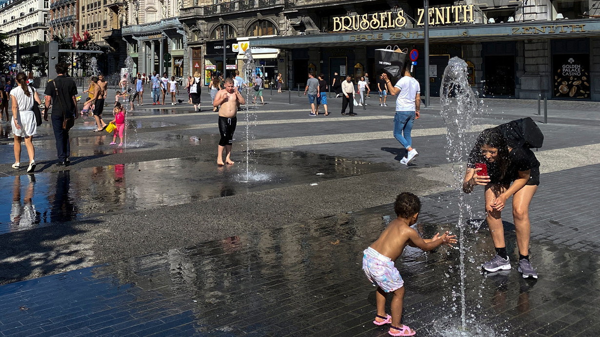 Avrupa'da panik başladı! Sıcaktan kitlesel ölüm korkusu