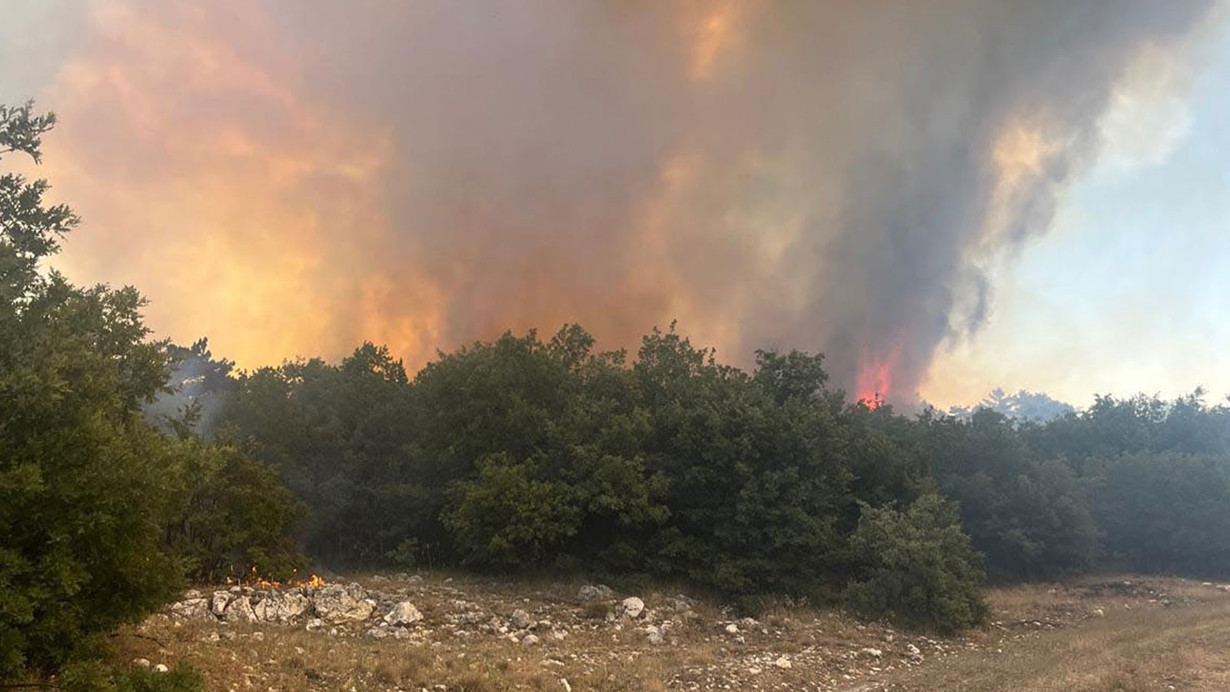 Eskişehir'de orman yangını