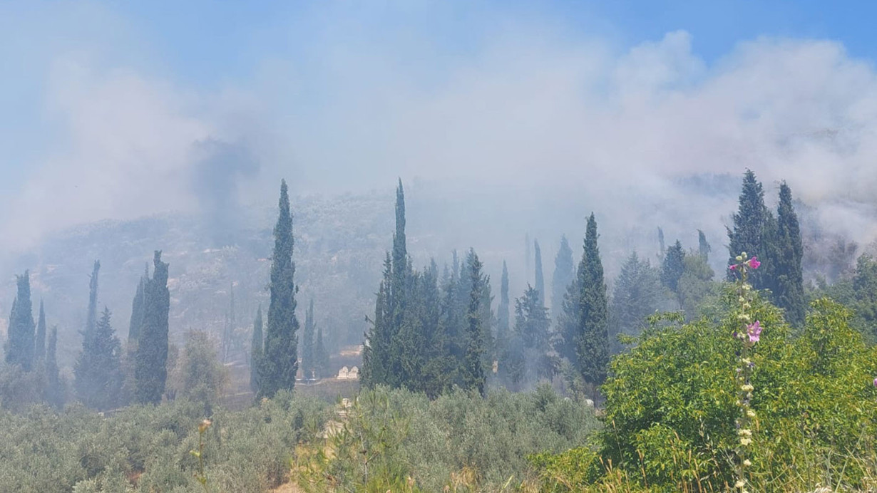 Bursa'da çıkan orman yangınına ilişkin 1 şüpheli tutuklandı