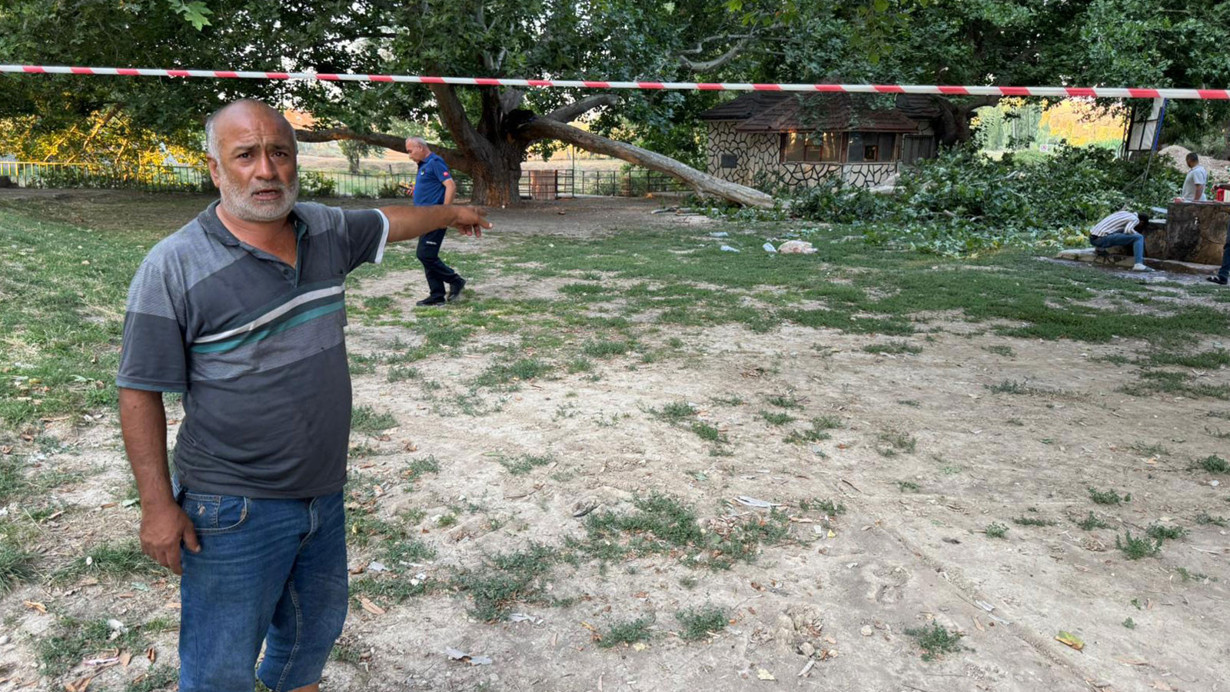 Konya'da piknikçilerin üzerine ağaç dalı düştü: 11 yaralı