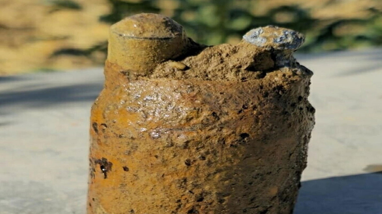 Ekipler harekete geçti! Zeytin bahçesini sularken karşısına çıktı!
