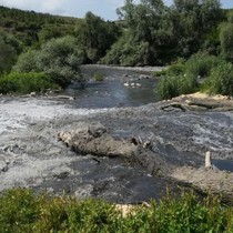 Katran karası akıyor, 'Marmara'nın zehri 'Nilüfer'den