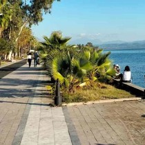 Hava durumu: İzmir'de hava bugün nasıl olacak?