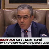 AP Türkiye Raportörü'nün sözlerine Mehmet Uçum'dan tepki