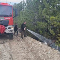 Aydın’daki orman yangını kontrol altında