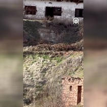 Gümüşhane'de gezintideki vaşak cep telefonu kamerasında