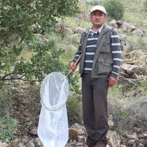 Arazi çalışmaları sırasında keşfetti; böceğe eşinin ismini verdi